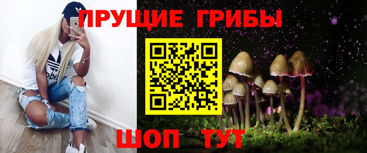 Галлюциногенные грибы MAGIC MUSHROOMS  где купить наркоту  Вологда  Вход с VPN 
