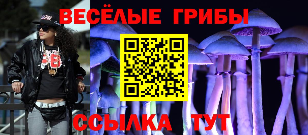 Псилоцибиновые грибы мицелий Вологда
